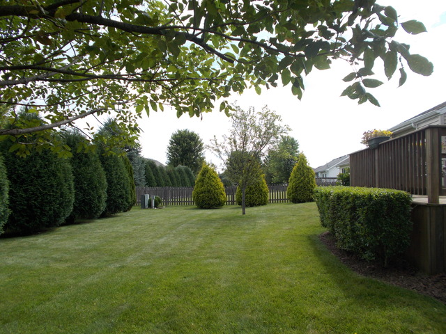 317 W Ashton Dr, Maple Park, IL 60151 photo 14