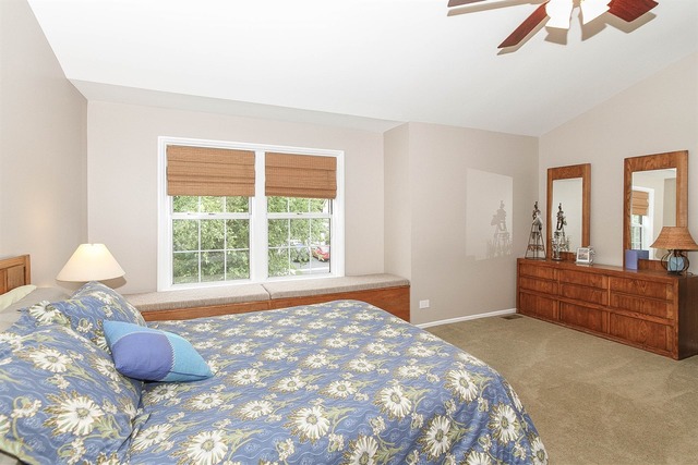 677 Morning Glory Ln, Bartlett, IL 60103 photo 17