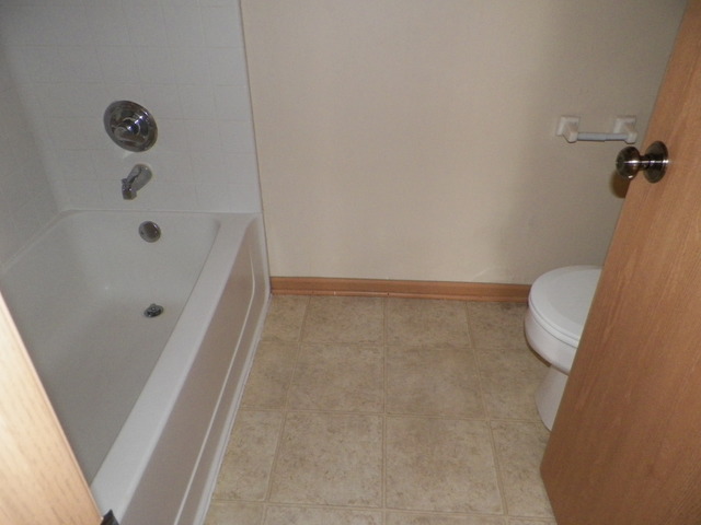 1406 Sommer Ct, Minooka, IL 60447 photo 9