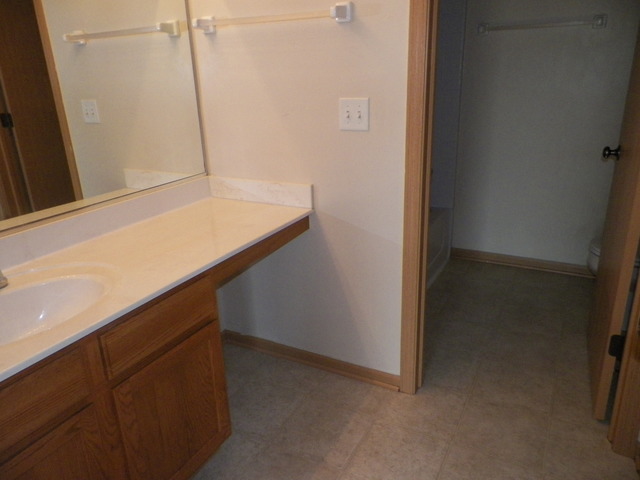1406 Sommer Ct, Minooka, IL 60447 photo 8