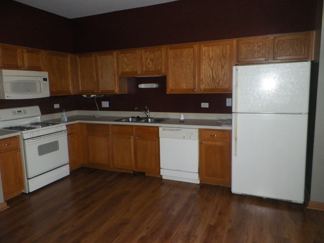 1406 Sommer Ct, Minooka, IL 60447 photo 3