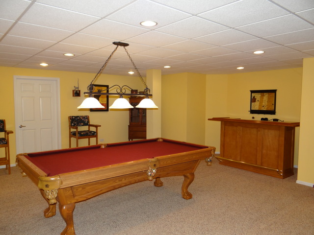 12502 Lily Ln, Plainfield, IL 60585 photo 22