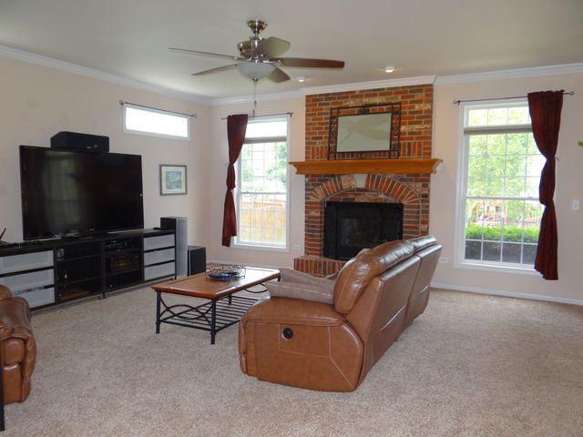 12502 Lily Ln, Plainfield, IL 60585 photo 5