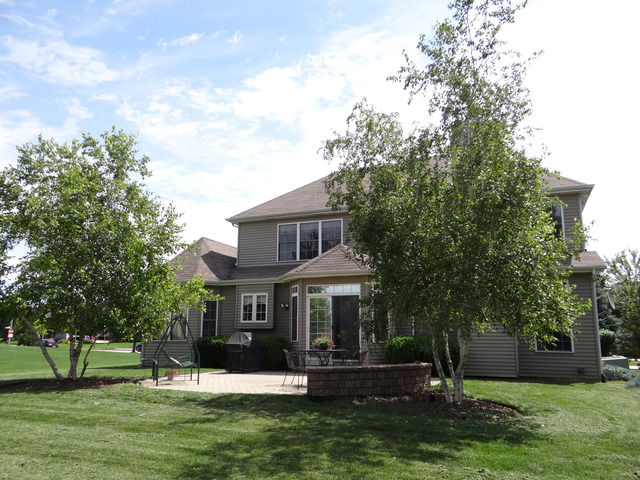 12502 Lily Ln, Plainfield, IL 60585 photo 1