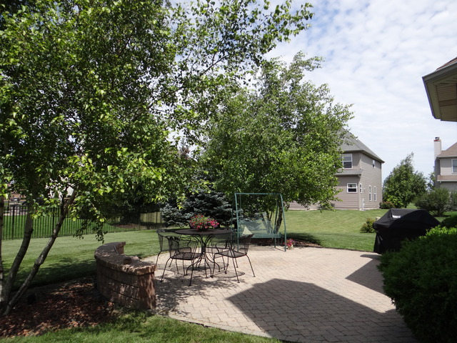12502 Lily Ln, Plainfield, IL 60585 photo 2