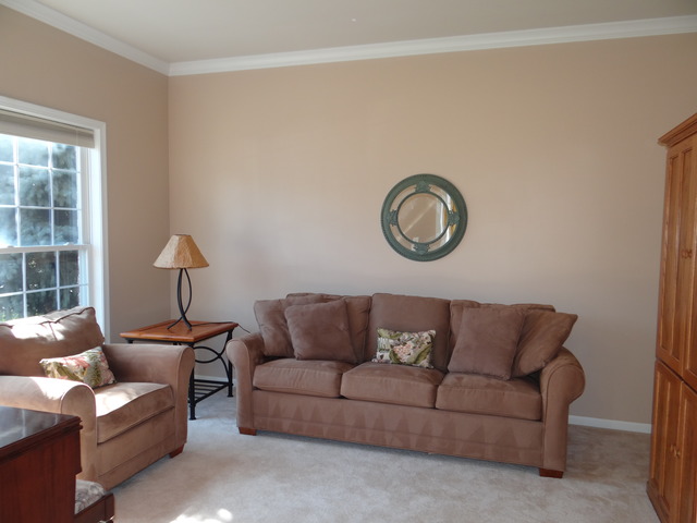 12502 Lily Ln, Plainfield, IL 60585 photo 3