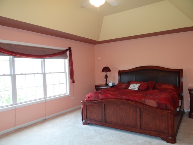 12502 Lily Ln, Plainfield, IL 60585 photo 12