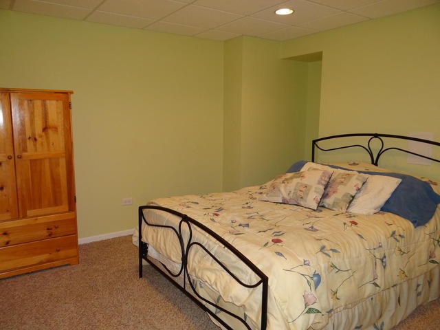 12502 Lily Ln, Plainfield, IL 60585 photo 24