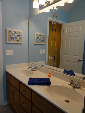 12502 Lily Ln, Plainfield, IL 60585 photo 21