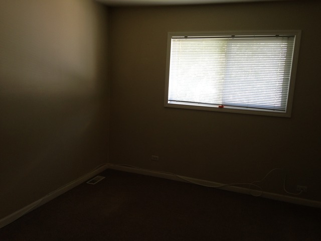 246 Bode Rd, Hoffman Estates, IL 60169 photo 18