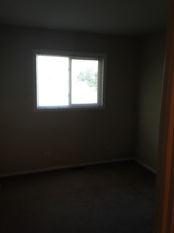 246 Bode Rd, Hoffman Estates, IL 60169 photo 17