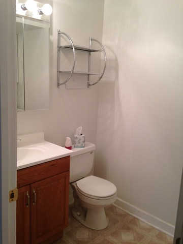 246 Bode Rd, Hoffman Estates, IL 60169 photo 19