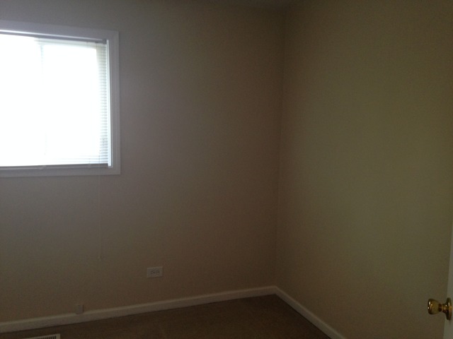 246 Bode Rd, Hoffman Estates, IL 60169 photo 16