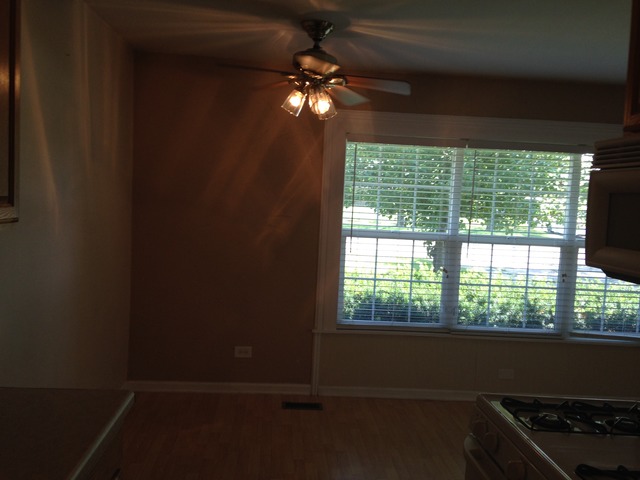 246 Bode Rd, Hoffman Estates, IL 60169 photo 9
