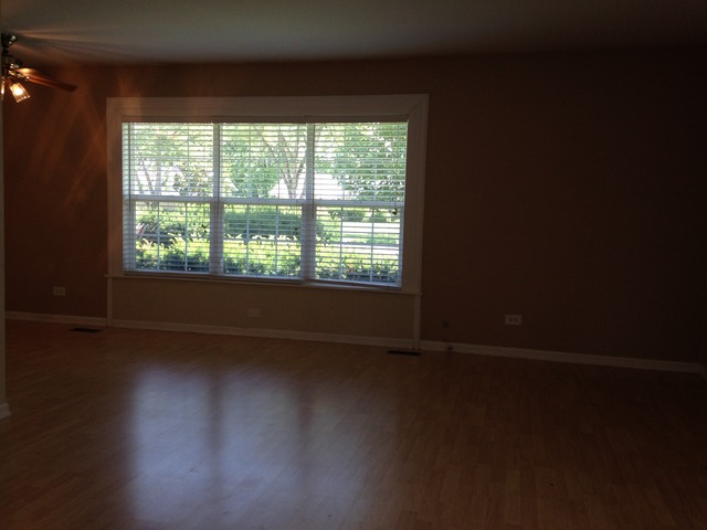 246 Bode Rd, Hoffman Estates, IL 60169 photo 6