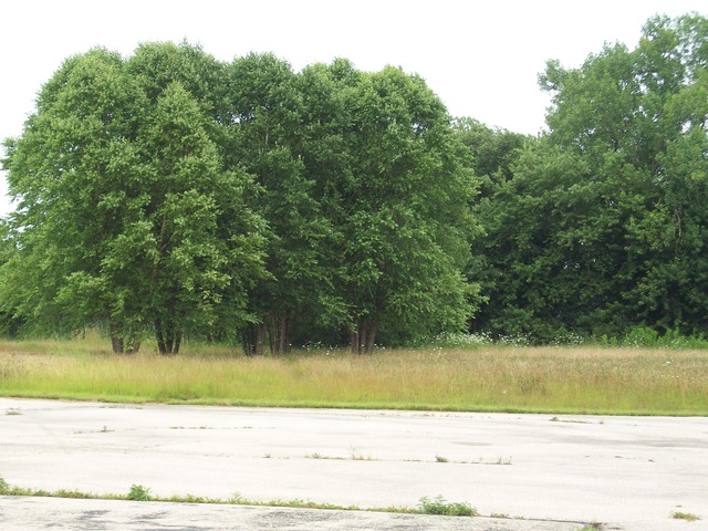 1180 W First St, Braidwood, IL 60408 photo 3