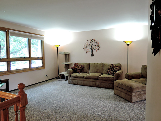 1290 E Hull Dr, Wheaton, IL 60189 photo 1