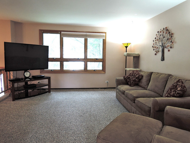 1290 E Hull Dr, Wheaton, IL 60189 photo 2