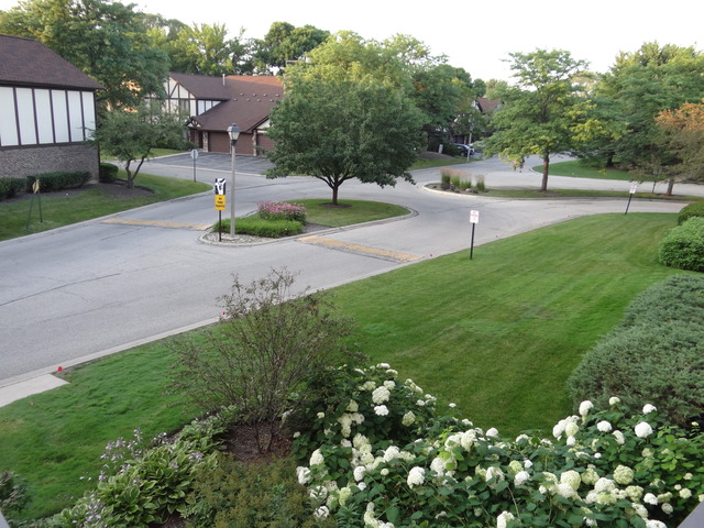 1500 Harbour Dr #2u, Wheeling, IL 60090 photo 19