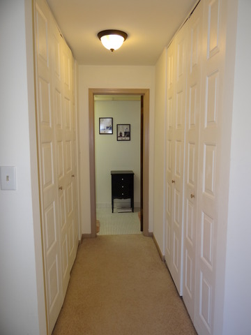 1500 Harbour Dr #2u, Wheeling, IL 60090 photo 6