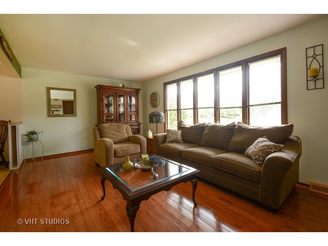 19845 Therese Ln, Mokena, IL 60448 photo 1