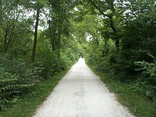1345 S Sumner Ave, Wheaton, IL 60189 photo 12