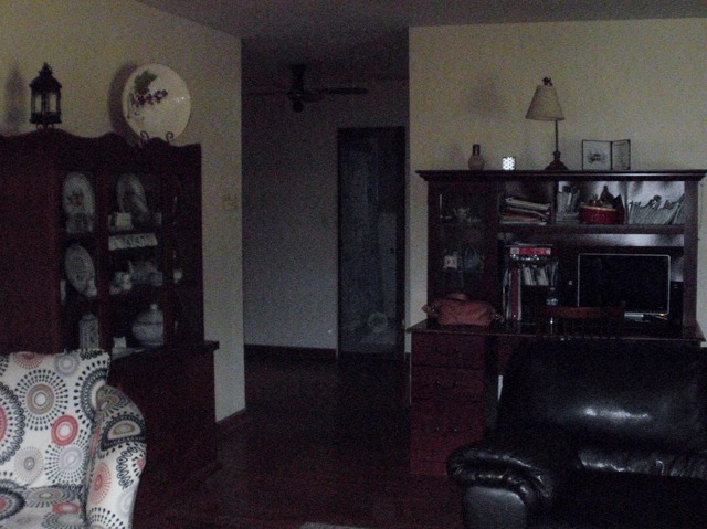 926 E 8th St, Lockport, IL 60441 photo 4
