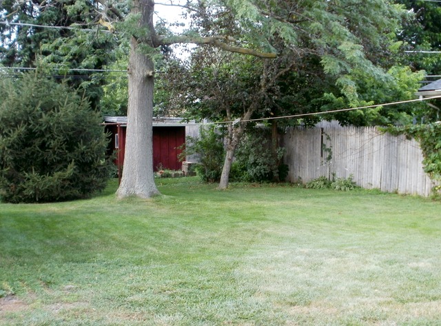 926 E 8th St, Lockport, IL 60441 photo 8