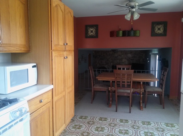 15417 Cherry Ln, Oak Forest, IL 60452 photo 5