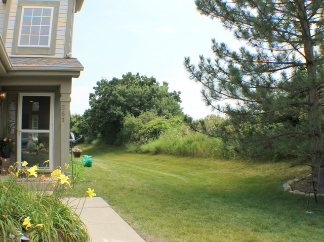 561 Willow Way, Lindenhurst, IL 60046 photo 23