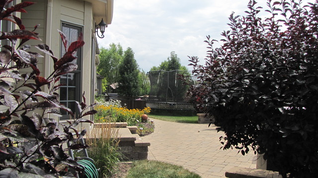 13008 Grande Pines Blvd, Plainfield, IL 60585 photo 5
