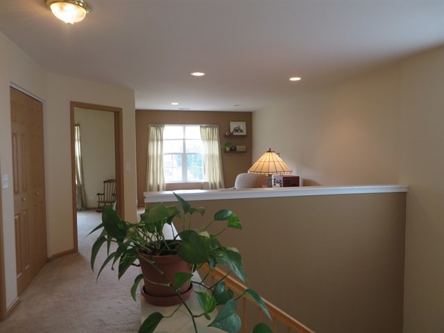 24109 Walnut Cir, Plainfield, IL 60585 photo 11