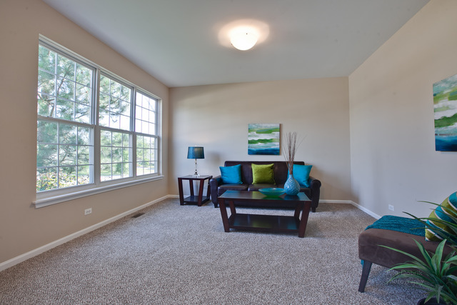 471 Nuthatch Way, Lake Villa, IL 60046 photo 5
