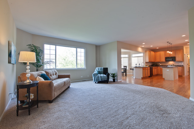 471 Nuthatch Way, Lake Villa, IL 60046 photo 9
