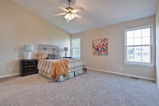 471 Nuthatch Way, Lake Villa, IL 60046 photo 19