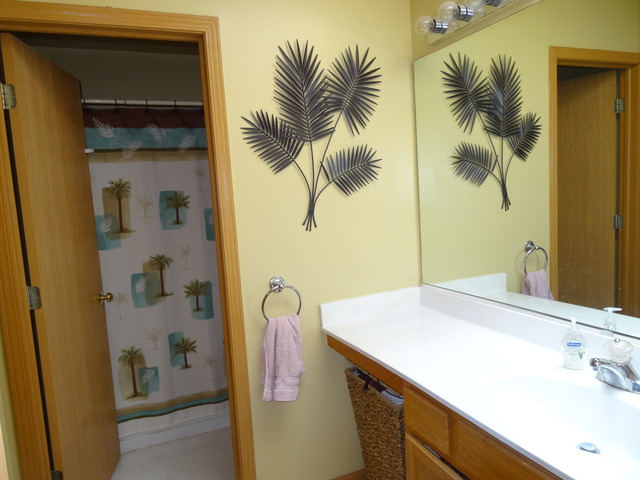 2318 Reflections Dr, Aurora, IL 60502 photo 10