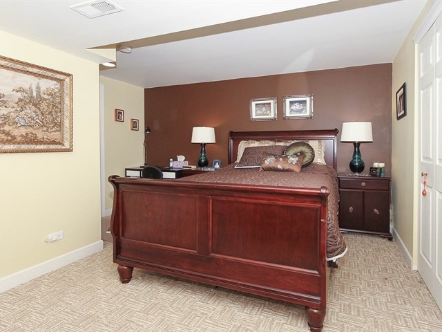 5 Lake Cornish Ct, Algonquin, IL 60102 photo 25