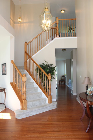 15023 Meadow Ln, Plainfield, IL 60544 photo 3