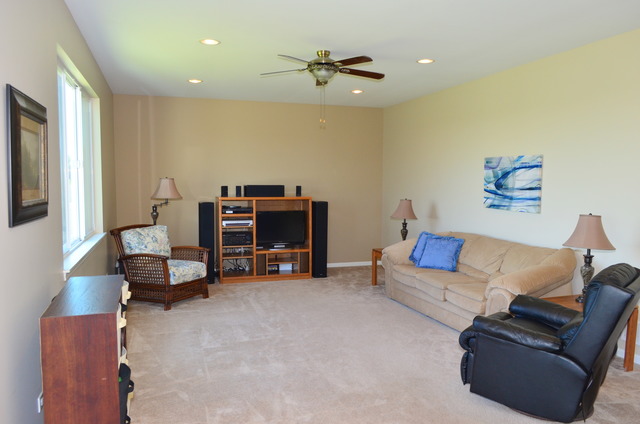 15023 Meadow Ln, Plainfield, IL 60544 photo 9