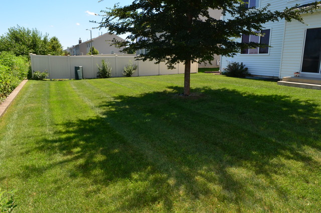 15023 Meadow Ln, Plainfield, IL 60544 photo 20