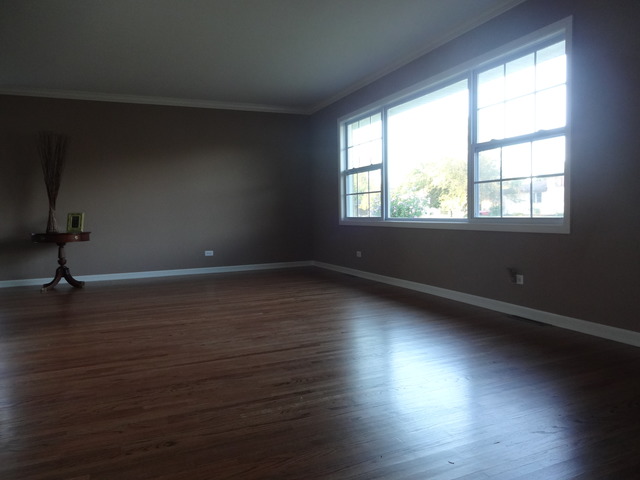 929 Sycamore Ln, Bartlett, IL 60103 photo 3