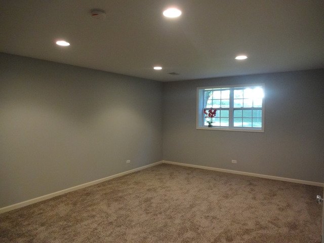 929 Sycamore Ln, Bartlett, IL 60103 photo 12