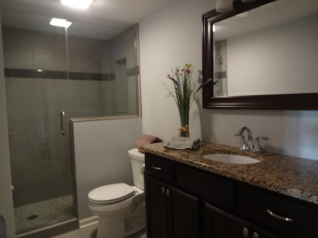 929 Sycamore Ln, Bartlett, IL 60103 photo 15