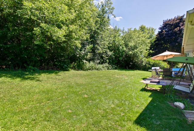 613 Scott St, Algonquin, IL 60102 photo 21