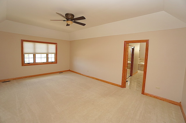 3928 White Eagle Dr, Naperville, IL 60564 photo 11