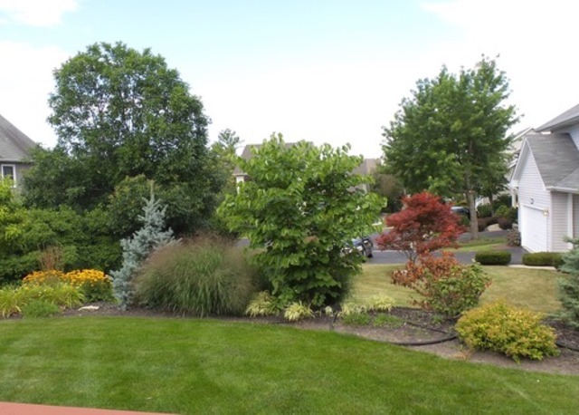 330 Windsor Dr, Bartlett, IL 60103 photo 15