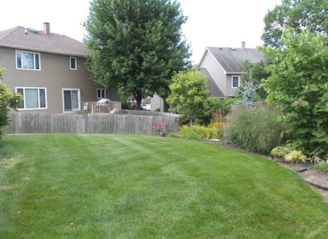 330 Windsor Dr, Bartlett, IL 60103 photo 14