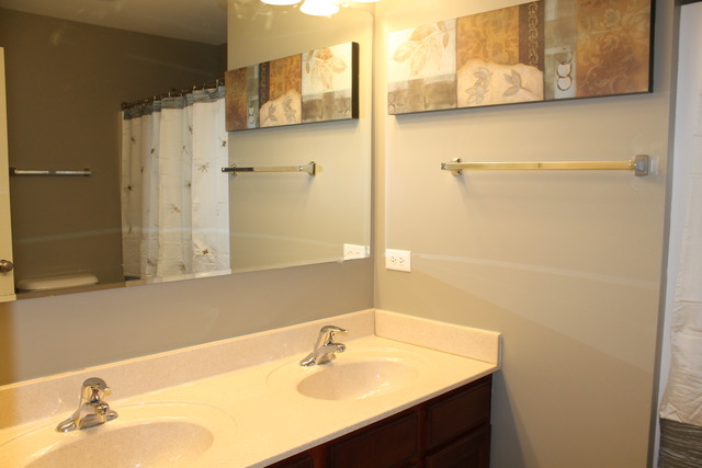 604 Aborn Ave, Elgin, IL 60124 photo 13