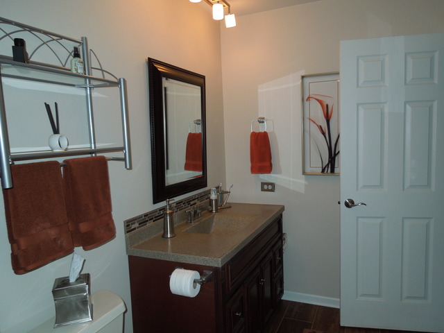 15619 Lorel Ave, Oak Forest, IL 60452 photo 15