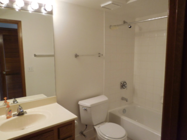 1600 E Thacker St #603, Des Plaines, IL 60016 photo 12